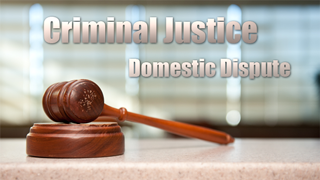 CJ - Domestic Dispute