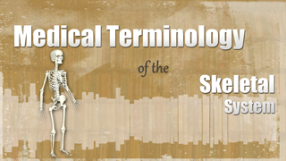 HST-MT - Medical Terminology of the Skeletal System