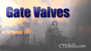 IND-PTV - Gate Valves