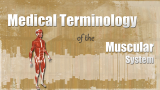 HST-MT - Medical Terminology of the Muscular System