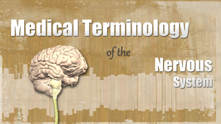 HST-MT- Medical Terminology of the Nervous System