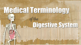 HST-MT - Medical Terminology of the Digestive System