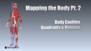 HST-AP Mapping the Body Pt. 2