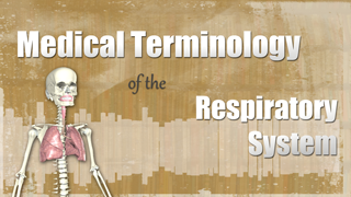 HST-MT -  Medical Terminology of the Respiratory System