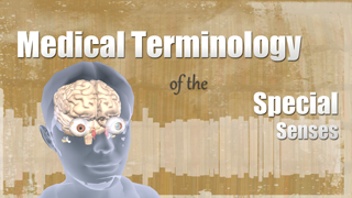 HST-MT-Medical Terminology of the Special Senses
