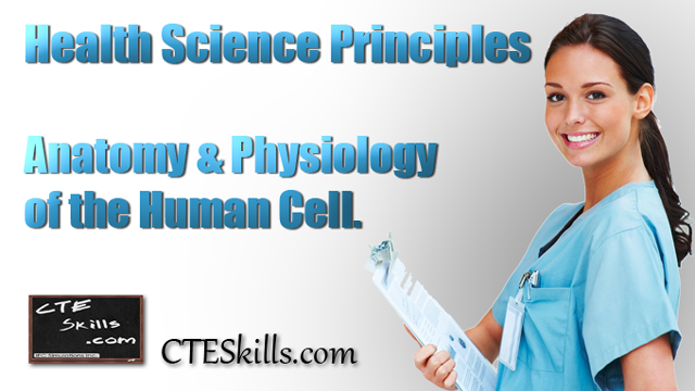 HST-AP - Anatomy & Physiology of the Human Cell