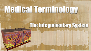HST-MT - Medical Terminology of the Integumentary System