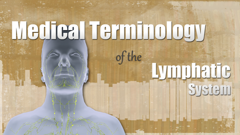 HST-MT - Medical Terminology of the Lymphatic System