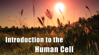 HST-AP - Introduction to the Human Cell