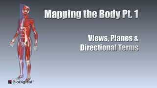 HST-AP - Mapping the Body