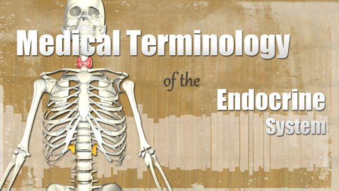 HST-MT - Medical Terminology of the Endocrine System