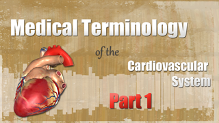 HST-MT - Medical Terminology of the Cardiovascular System Pt. 1