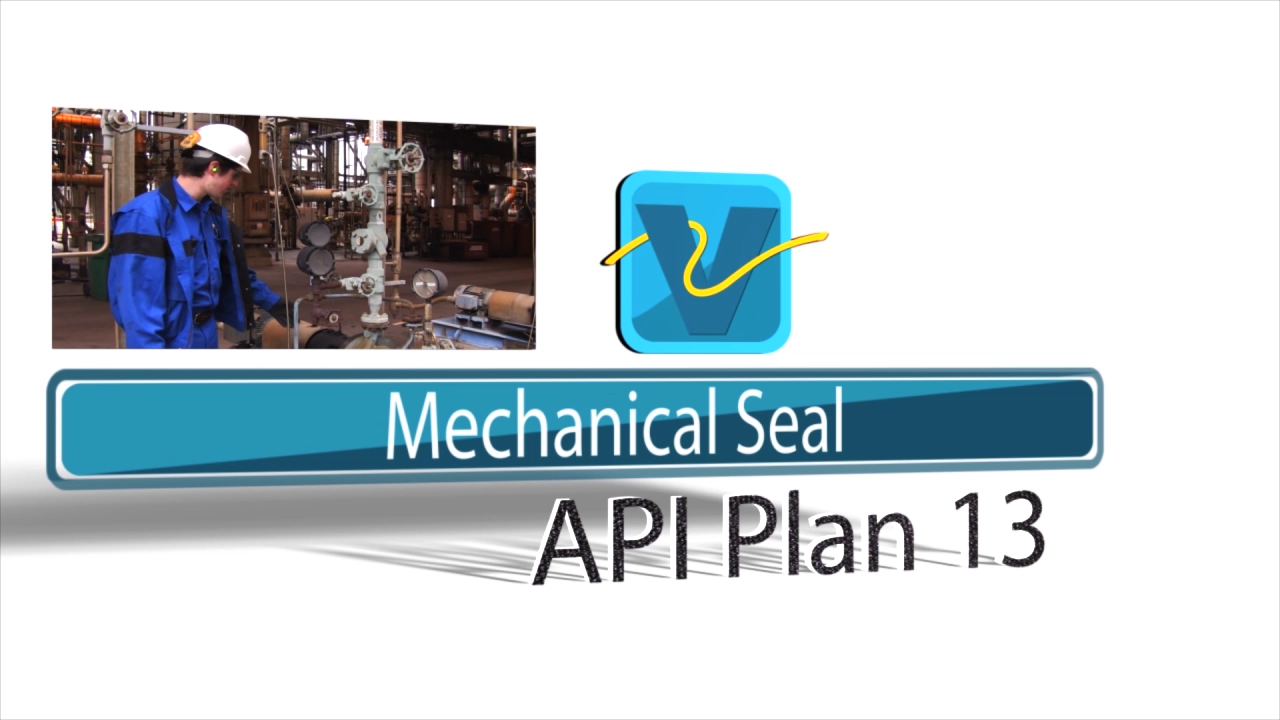 VAL - Mechanical Seal API Plan 13
