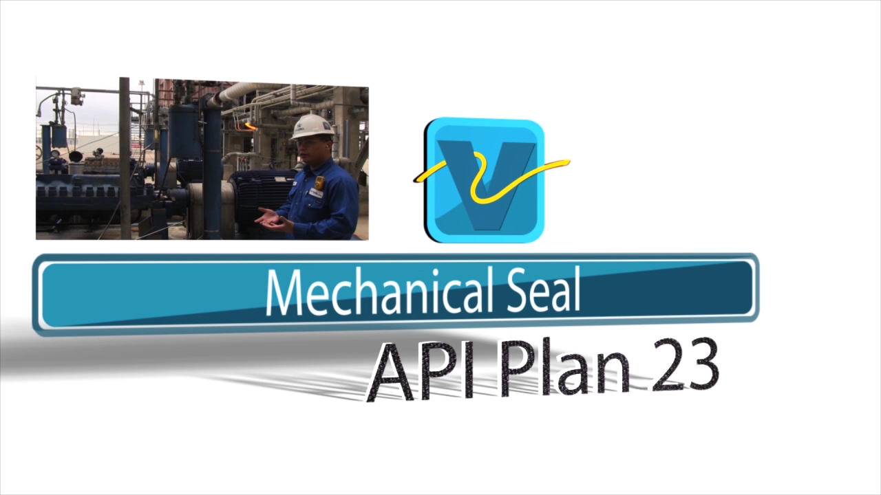 VAL - Mechanical Seal API Plan 23