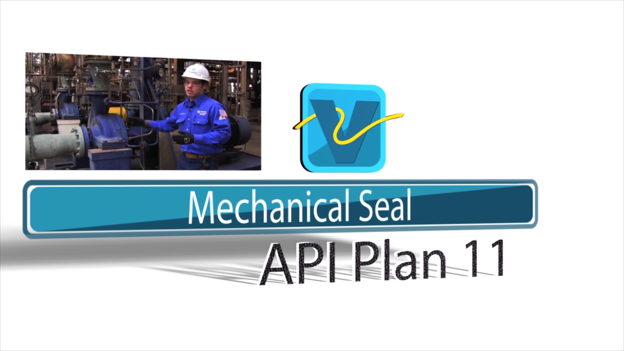 VAL - Mechanical Seal API Plan 11
