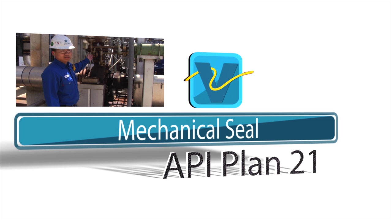 VAL - Mechanical Seal API Plan 21