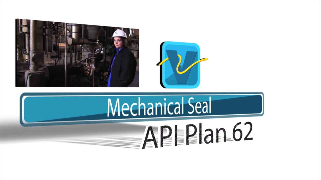 VAL - Mechanical Seal API Plan 62